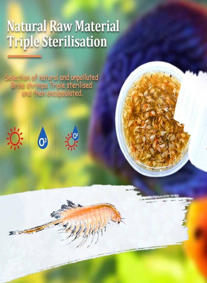 BNYEE Fresh Brine Shrimp Fish Food - Adult Non-Living Shrimp for Fish Over 1 Inch - Image 2